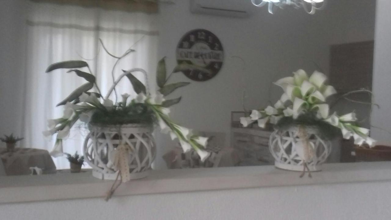 Etesia Bed & Breakfast Olbia Exterior photo